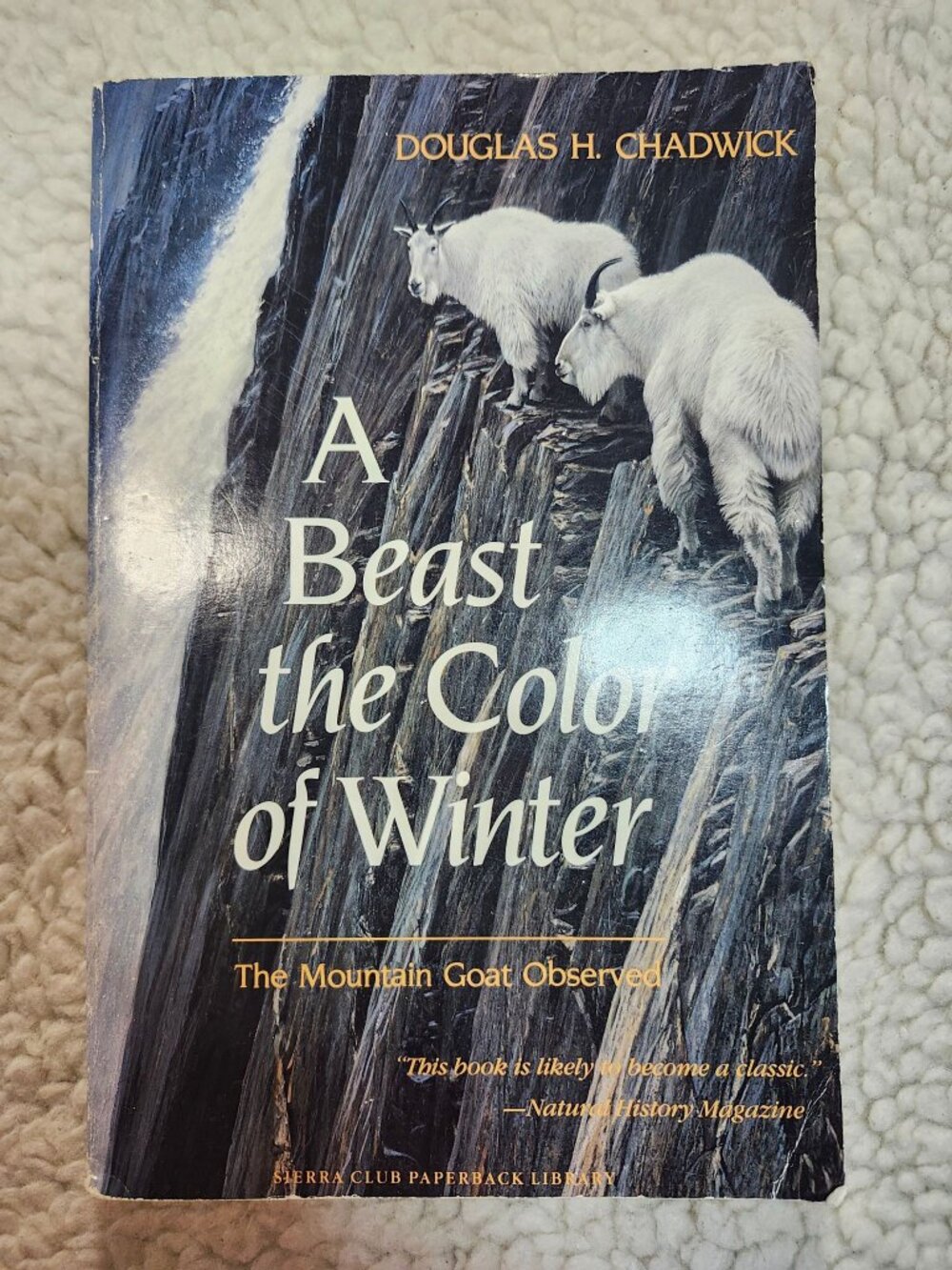 Douglas H Chadwick A Beast the Color of Winter Paperback 1983 Mountain Goat